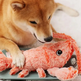 Lobster - Interactive Dog Toy
