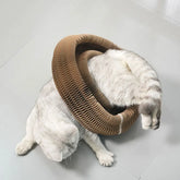 Magic Organ Cat Scratching Board – Interactive, Foldable, & Multifunctional Cat Toy