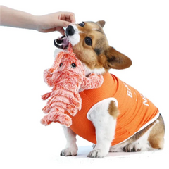 Lobster - Interactive Dog Toy