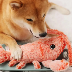 Lobster - Interactive Dog Toy