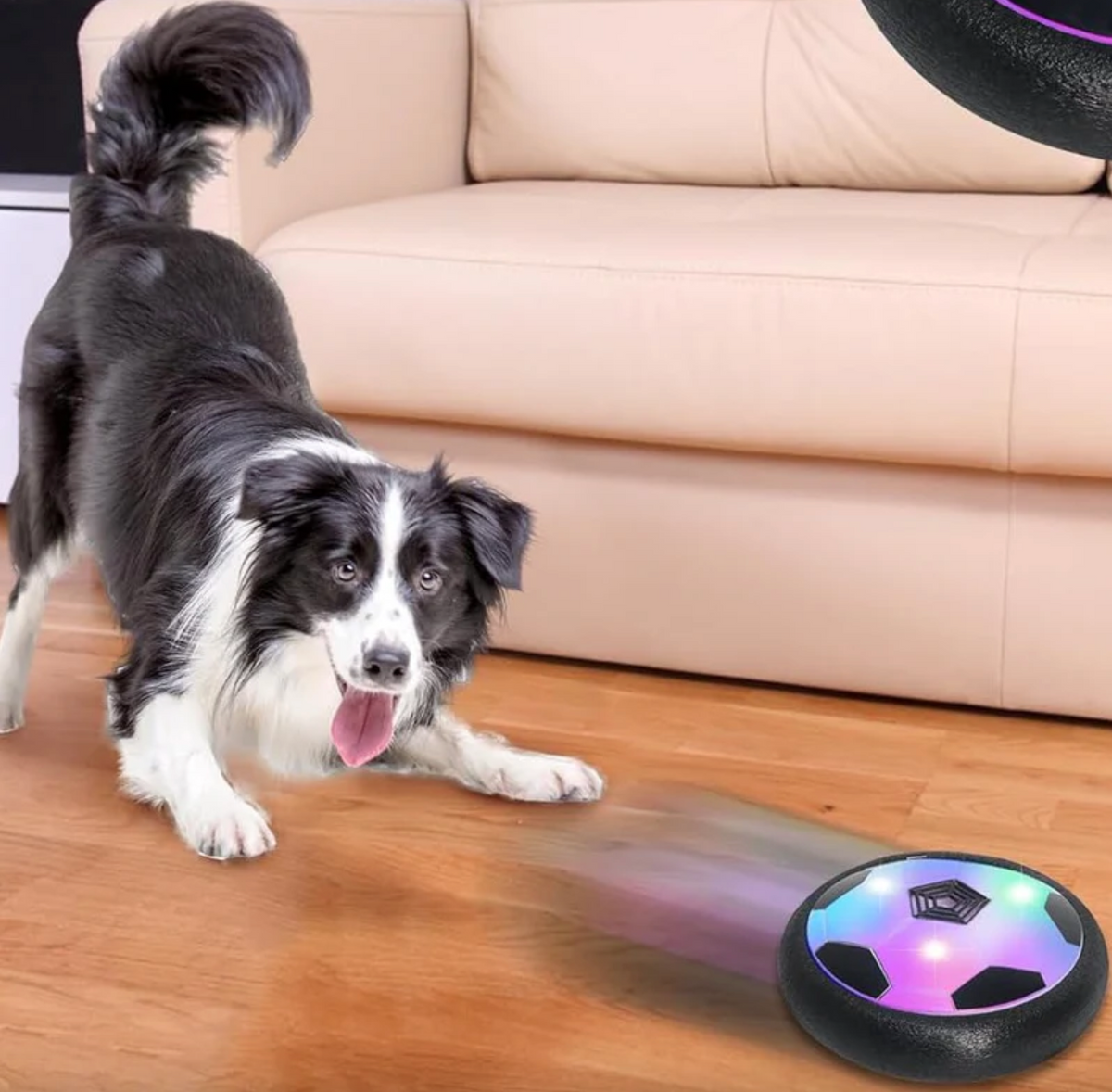 Hover Ball Dog Toy