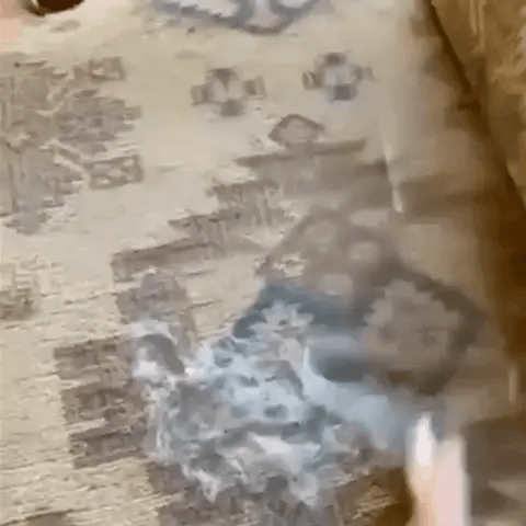 Double-Sided Pet Hair Remover