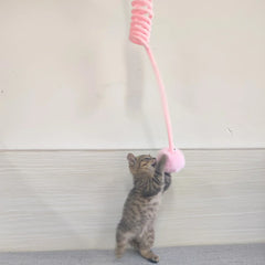 Self-Play String Toy for Kittens with Ball