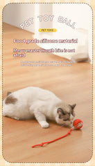 Interactive Ball for Cats and Dogs