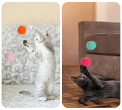 Pet toy ball, plush ball launching gun, entertainment and fun cat gun, pet cat toy, cat toy supplies