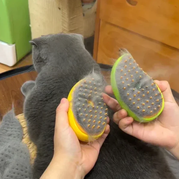 Pet grooming—small comb