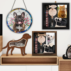 Pet Memorial Photo Frames, Customized Photo Displays, Pet Hair Growth Memorials, and Preserved Mementos of Passed-Away Pets