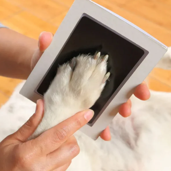 Pet paw prints, cat footprints, dog birthday commemorations, cattery kitten birth certificates, cat lover gifts