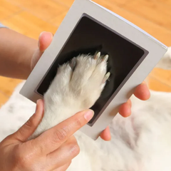 Pet paw prints, cat footprints, dog birthday commemorations, cattery kitten birth certificates, cat lover gifts